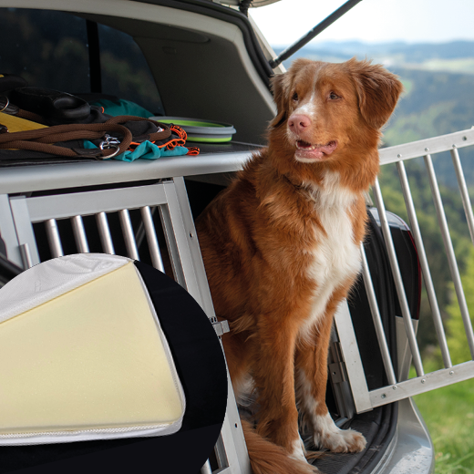 Hundebett für unterwegs