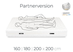 Partnerversion