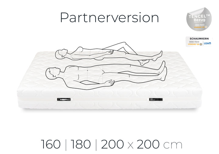 Partnerversion